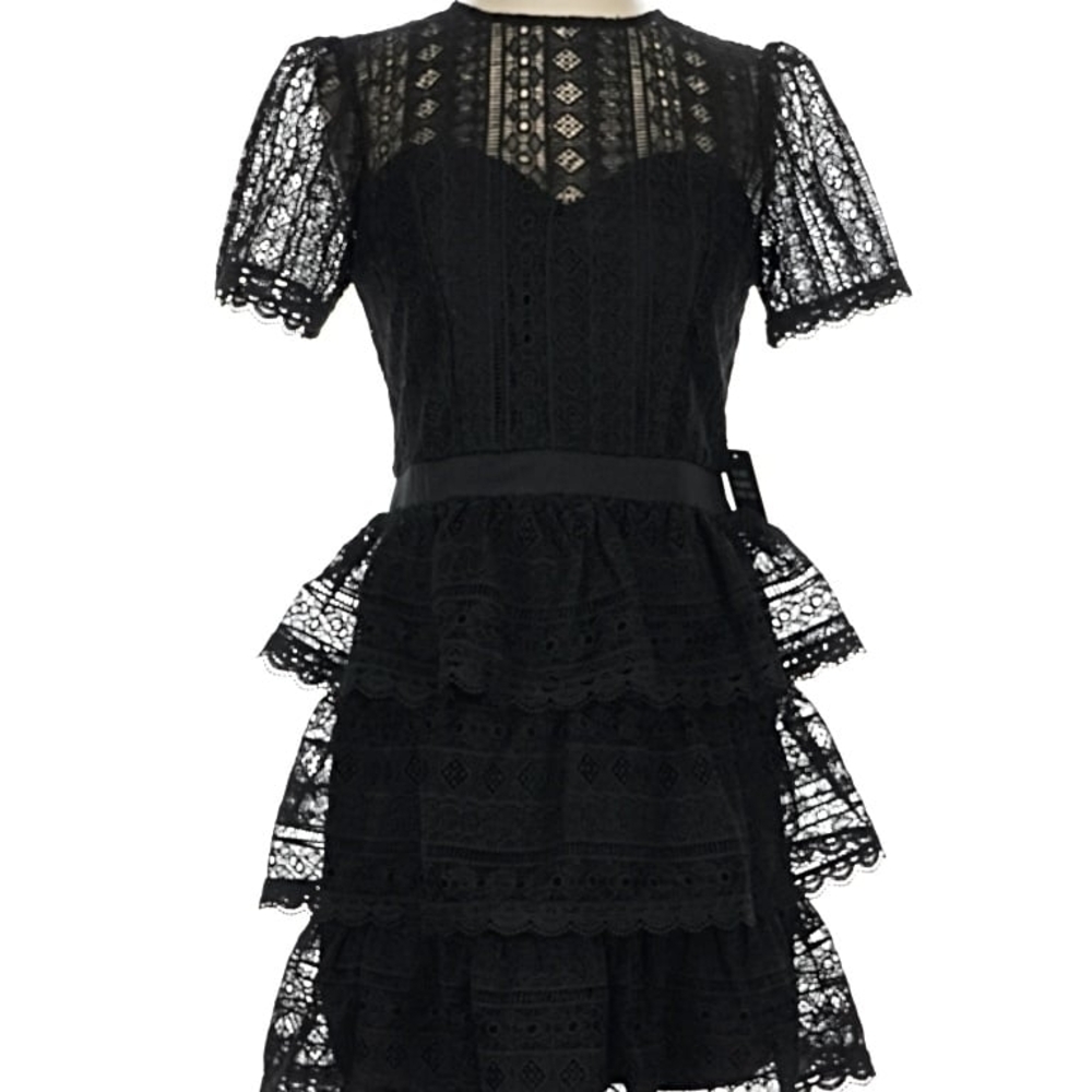 Express Black Lace Tiered Mini Dress